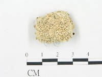 登錄號:F0019754藏品圖，第1張