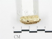 登錄號:F0019754藏品圖，第5張