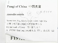 登錄號:F0019755藏品圖，第2張