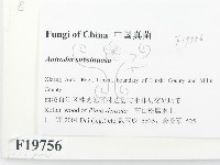 登錄號:F0019756藏品圖，第2張