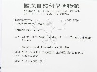 登錄號:F0019756藏品圖，第3張
