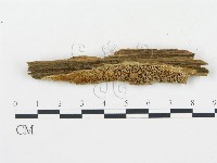 登錄號:F0019756藏品圖，第1張