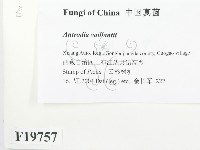 登錄號:F0019757藏品圖，第2張