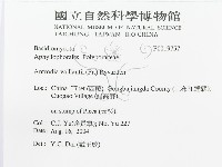 登錄號:F0019757藏品圖，第3張
