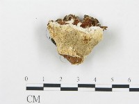 登錄號:F0019757藏品圖，第1張
