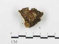 登錄號:F0019757藏品圖，第4張