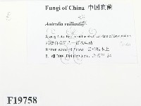 登錄號:F0019758藏品圖，第2張