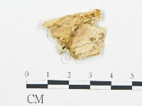 登錄號:F0019758藏品圖，第4張