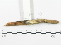 登錄號:F0019759藏品圖，第1張