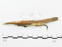 登錄號:F0019759藏品圖，第7張
