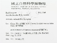 登錄號:F0019760藏品圖，第3張