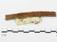 登錄號:F0019760藏品圖，第4張