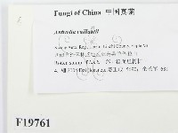 登錄號:F0019761藏品圖，第2張