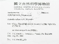 登錄號:F0019761藏品圖，第3張