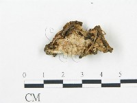 登錄號:F0019761藏品圖，第4張