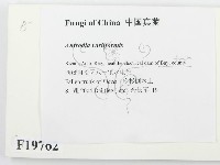 登錄號:F0019762藏品圖，第2張
