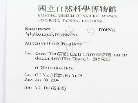 登錄號:F0019762藏品圖，第3張