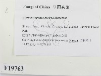 登錄號:F0019763藏品圖，第2張