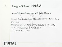 登錄號:F0019764藏品圖，第2張
