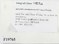 登錄號:F0019765藏品圖，第2張