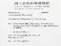 登錄號:F0019765藏品圖，第3張