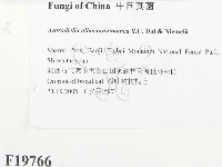 登錄號:F0019766藏品圖，第2張