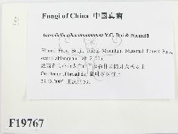 登錄號:F0019767藏品圖，第2張