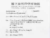 登錄號:F0019767藏品圖，第3張