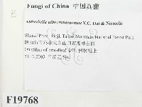 登錄號:F0019768藏品圖，第2張