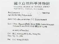 登錄號:F0019768藏品圖，第3張