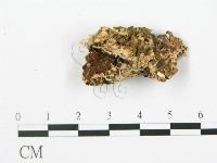 登錄號:F0019768藏品圖，第4張