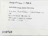 登錄號:F0019769藏品圖，第2張