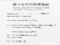 煙管菌藏品圖，第3張