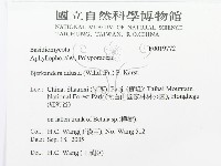 煙管菌藏品圖，第3張