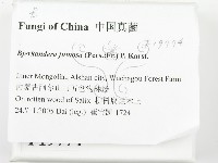 登錄號:F0019774藏品圖，第2張