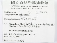 登錄號:F0019774藏品圖，第3張