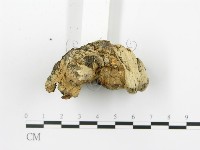 登錄號:F0019774藏品圖，第5張