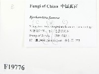 登錄號:F0019776藏品圖，第2張