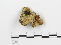 登錄號:F0019776藏品圖，第4張