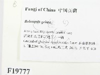 登錄號:F0019777藏品圖，第2張