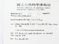 登錄號:F0019777藏品圖，第3張