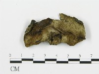 登錄號:F0019777藏品圖，第4張