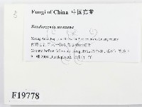 登錄號:F0019778藏品圖，第2張