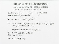 登錄號:F0019778藏品圖，第3張