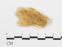 登錄號:F0019778藏品圖，第4張