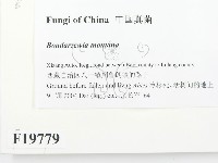 登錄號:F0019779藏品圖，第2張