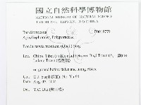 登錄號:F0019779藏品圖，第3張