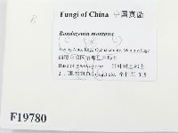 登錄號:F0019780藏品圖，第2張