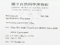登錄號:F0019780藏品圖，第3張