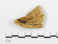 登錄號:F0019780藏品圖，第1張